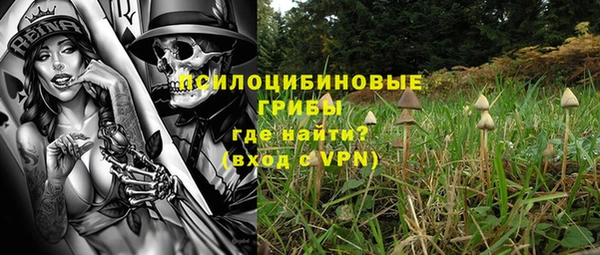 СК Калининец