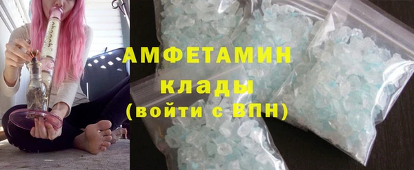 гидра Кодинск