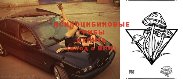 экстази Фёдоровский