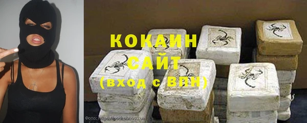 стафф Киреевск