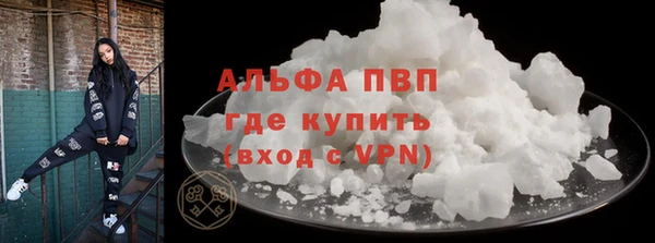гидра Кодинск