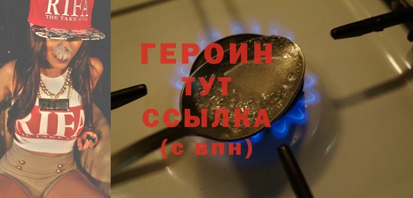 гидра Кодинск