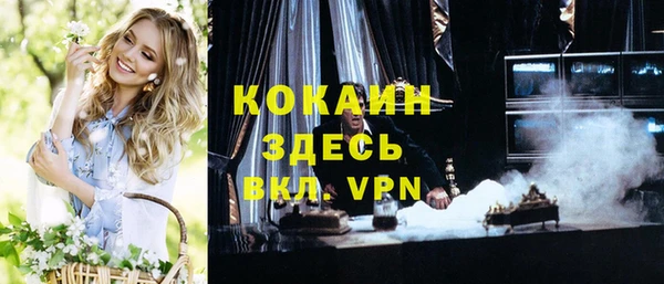 дживик Козельск
