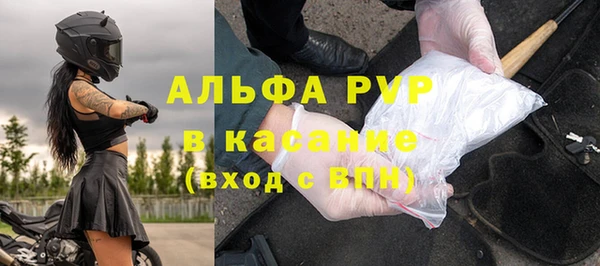 гидра Кодинск