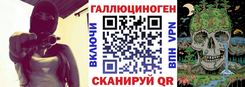 Купить где  Ртищево  Галлюциногенные грибы GOLDEN TEACHER 